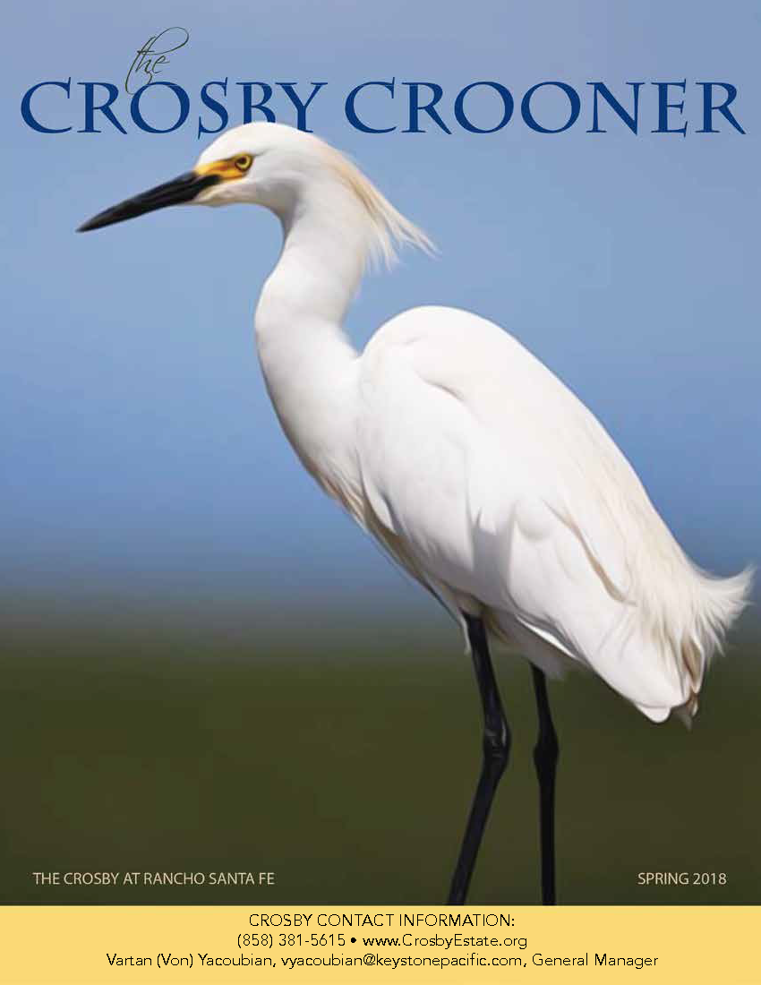 Spring 2018 Crosby Crooner Cover